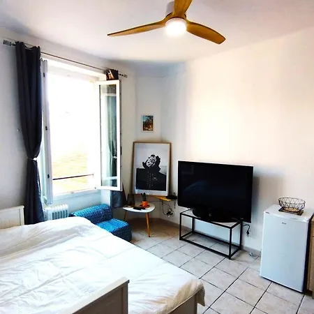 Appartamento Charming Ideal For Congresses And Holidays Live In Gazagnaire Cannes