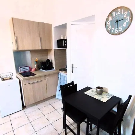 Appartamento Charming Ideal For Congresses And Holidays Live In Gazagnaire Cannes